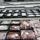 6월3일.조금물때.23척 어선 (참돔,먹갈치,병어,덕자,황석어,아귀,우럭,잡어) 이미지