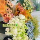 면목과일 이미지