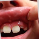 가족과 함께하는 생활건강체조 이미지