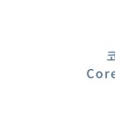 히피동