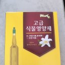태광염소 이미지