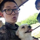 별이 이미지