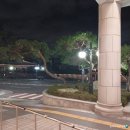 제주로베로아넥스 이미지