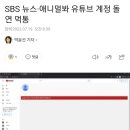 SBS 뉴스·애니멀봐 유튜브 계정 돌연 먹통 이미지