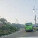 양포한방백숙 이미지