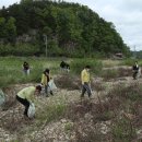 그린청결 브레이크뉴스