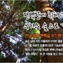 편백향 Daum카페