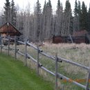 수아사슴농장 이미지