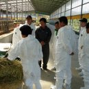 화정이농장 이미지