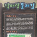 과천성당 건너편 버스정류장 이미지