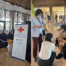 대원메디컬 이미지