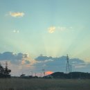 (주)선재해림풀빌라 | [선재도] 인천 온수풀 야외수영장이 있는 선재해림풀빌라_라온501 후기 (feat. 최고다 농수산 가리비 추천)