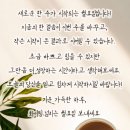 굿모닝 - 나주시 금영로 372 | 굿모닝