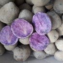 자영농장 이미지