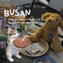(주)디자인부산 | 2025 부산 인테리어 디자인 코리아 방문 후기 : 벡스코에서 만난 최신 인테리어 트렌드!+ 하우해브유빈