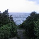 아이올래 이미지