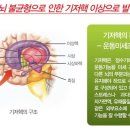 밸런스브레인 노원센터