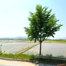 충주주덕공인중개사사무소 이미지