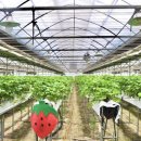 석기농장 이미지