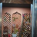 올리브영 수원역점 이미지