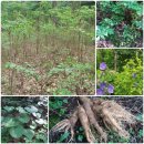 둔일농장 이미지