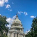 미국 의회의사당(United States Capitol) 이미지
