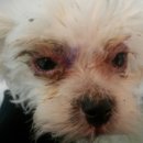 경동동물병원 이미지