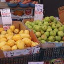 행운동-16 이미지