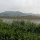 평지낚시
