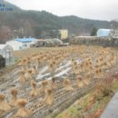 밤잣골천 이미지