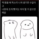 해달