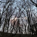 더큐브하우스리조트 이미지