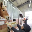 주호 농장 이미지