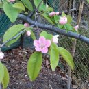 대밭집식당 이미지