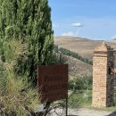 포도나무민박 | 유럽 신혼여행 | 이탈리아 토스카나 숙소 추천 : 일 포지오 카스텔라레 아그리투리스모 (Poggio Il...