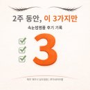 제주아우룸 | 제주 속눈썹앰플 후기: 2주 동안 ‘이 3가지만’ 체크했어요