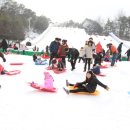 천안상록리조트 이미지