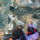 동명카페 - 안산시 단원구 산단로 326 | 동명카페