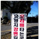 동촌유원지 유기장 이미지