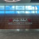 아마존동물병원 | 괌 태교여행 임신초기 아기옷 쇼핑 후기 | 대한항공 프레스티지 기내식