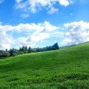 한우목장 이미지