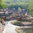 초원 숲속 야영장 이미지