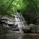 금원산자연휴양림(거창) 이미지