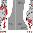 라훔헬스&필라테스 네이버블로그