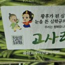 곡성-187 Daum카페