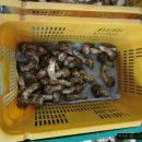 선진유통 이미지