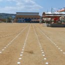 도리원초등학교 이미지