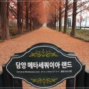 제111차 담양 3색 숲길 정기산행 &#39;23.11.26.(일) 이미지