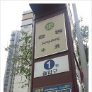 개키우는 언니 이미지