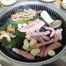 김용 농장 Daum카페